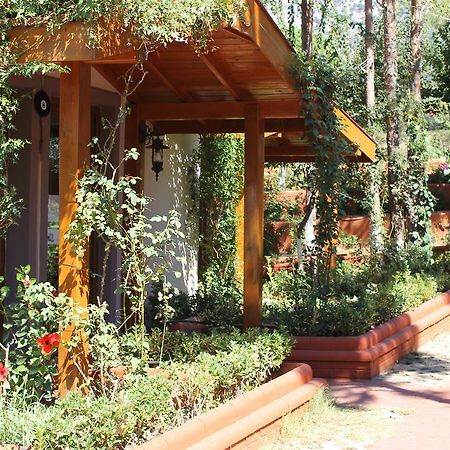 Boncuklu Otel Oludeniz Kültér fotó