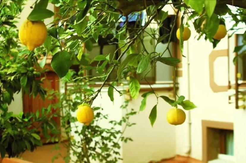 Boncuklu Otel Oludeniz Kültér fotó